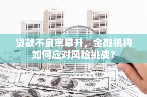 新县贷款不良率攀升，金融机构如何应对风险挑战？