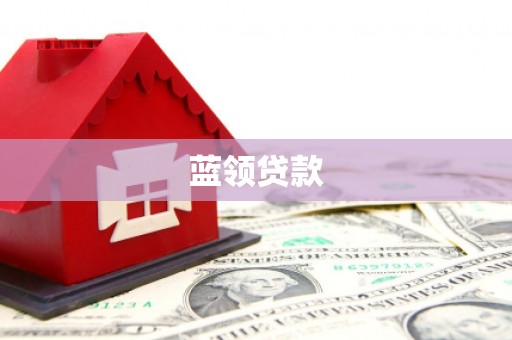 新县蓝领贷款