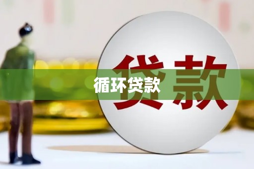 新县循环贷款