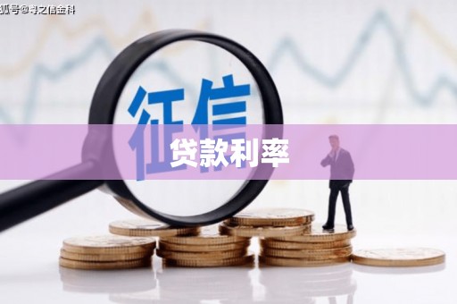 新县贷款利率