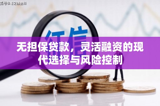 新县无担保贷款，灵活融资的现代选择与风险控制