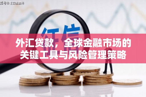 新县外汇贷款，全球金融市场的关键工具与风险管理策略