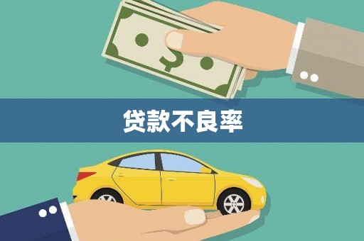 新县贷款不良率