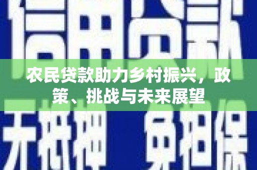 新县农民贷款助力乡村振兴，政策、挑战与未来展望