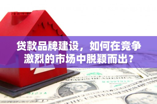 新县贷款品牌建设，如何在竞争激烈的市场中脱颖而出？