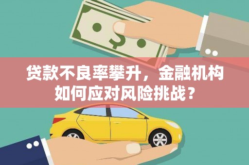 新县贷款不良率攀升，金融机构如何应对风险挑战？