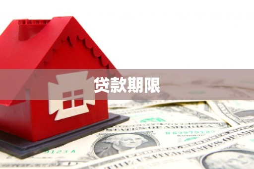 新县贷款期限