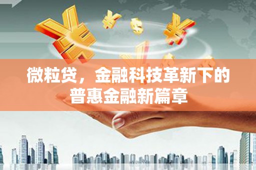 新县微粒贷，金融科技革新下的普惠金融新篇章