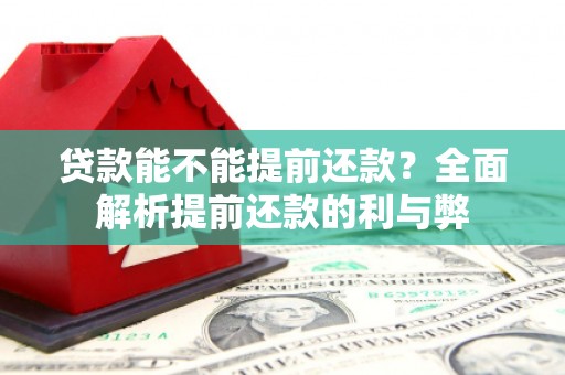 新县贷款能不能提前还款？全面解析提前还款的利与弊
