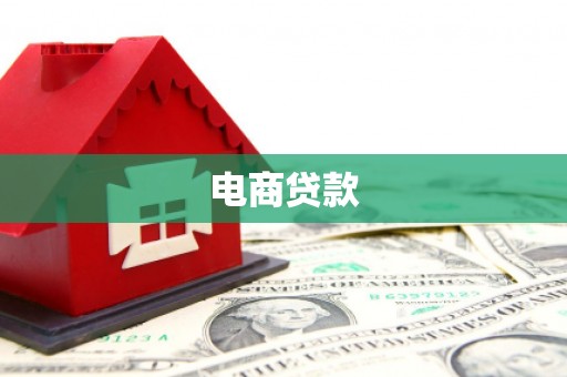新县电商贷款