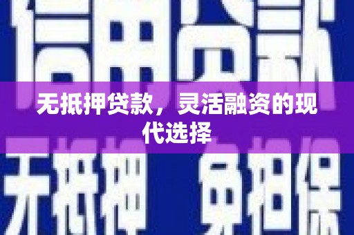 新县无抵押贷款，灵活融资的现代选择