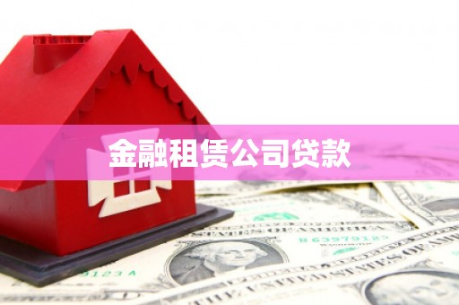 新县金融租赁公司贷款