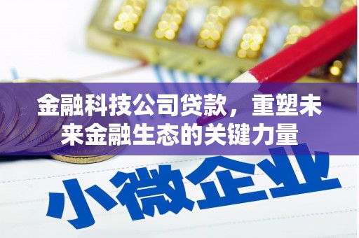 新县金融科技公司贷款，重塑未来金融生态的关键力量