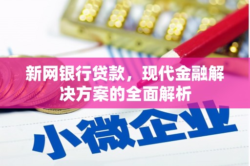 新县新网银行贷款，现代金融解决方案的全面解析