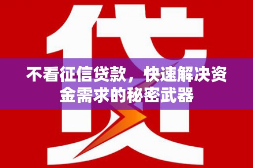 新县不看征信贷款，快速解决资金需求的秘密武器