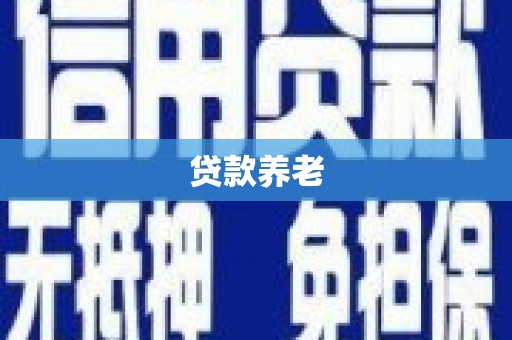 新县贷款养老