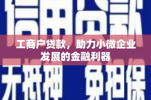 新县工商户贷款，助力小微企业发展的金融利器