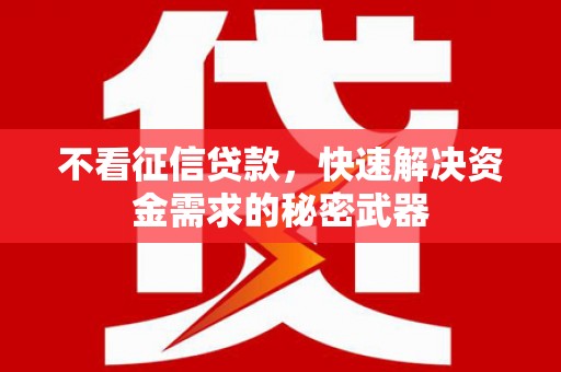 新县不看征信贷款，快速解决资金需求的秘密武器