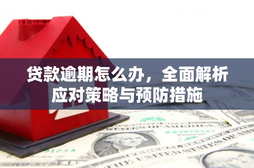 新县贷款逾期怎么办，全面解析应对策略与预防措施