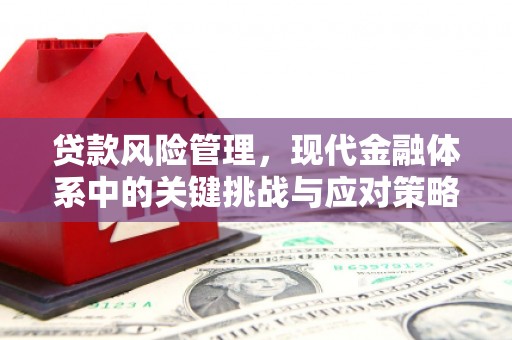 新县贷款风险管理，现代金融体系中的关键挑战与应对策略