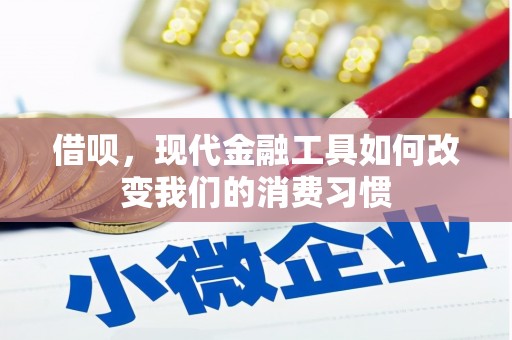 新县借呗，现代金融工具如何改变我们的消费习惯