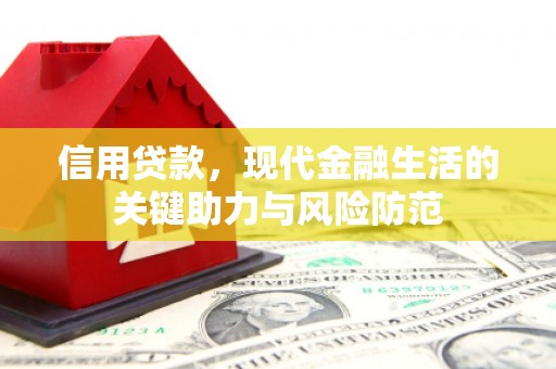 新县信用贷款，现代金融生活的关键助力与风险防范