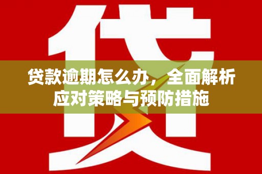 新县贷款逾期怎么办，全面解析应对策略与预防措施