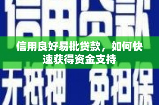 新县信用良好易批贷款，如何快速获得资金支持