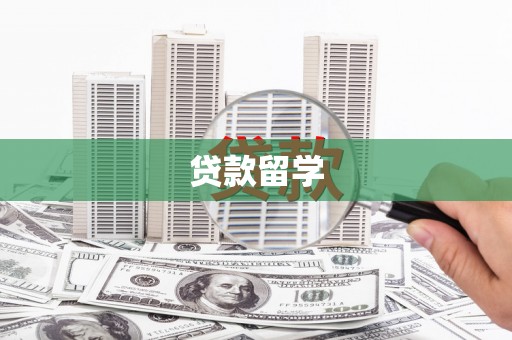 新县贷款留学