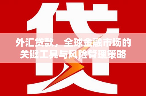新县外汇贷款，全球金融市场的关键工具与风险管理策略