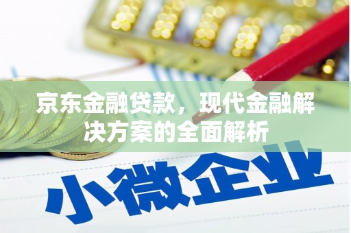 新县京东金融贷款，现代金融解决方案的全面解析