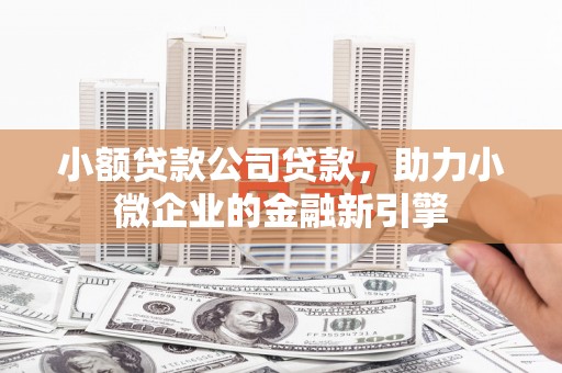 新县小额贷款公司贷款，助力小微企业的金融新引擎