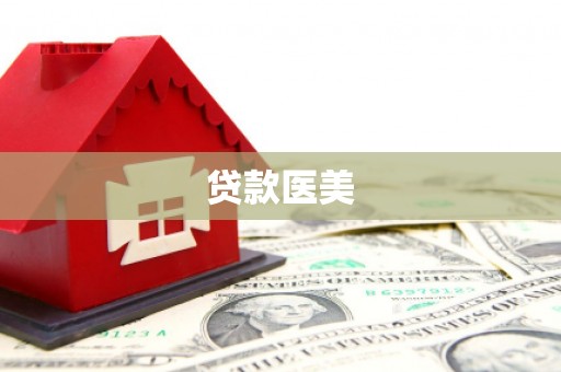 新县贷款医美