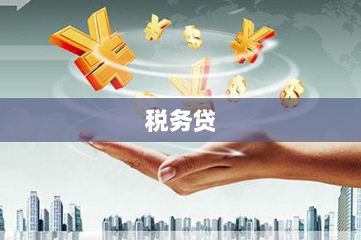 新县税务贷