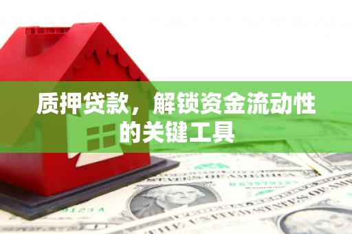 新县质押贷款，解锁资金流动性的关键工具