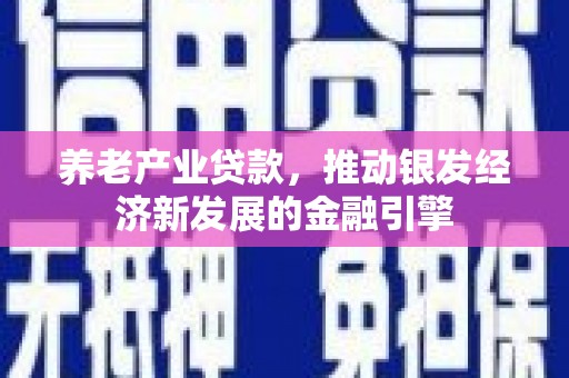 新县养老产业贷款，推动银发经济新发展的金融引擎
