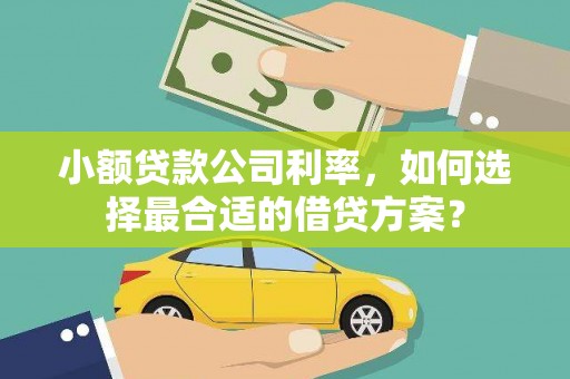 新县小额贷款公司利率，如何选择最合适的借贷方案？