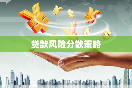 新县贷款风险分散策略