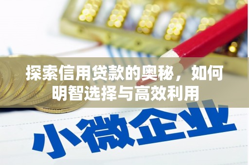 新县探索信用贷款的奥秘，如何明智选择与高效利用