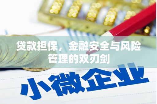 新县贷款担保，金融安全与风险管理的双刃剑