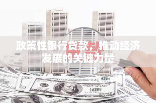 新县政策性银行贷款，推动经济发展的关键力量