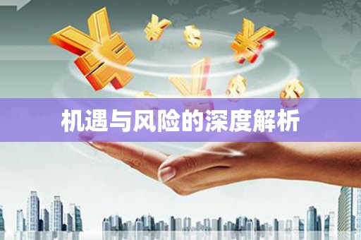 新县机遇与风险的深度解析