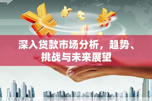 新县深入贷款市场分析，趋势、挑战与未来展望