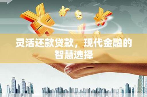 新县灵活还款贷款，现代金融的智慧选择