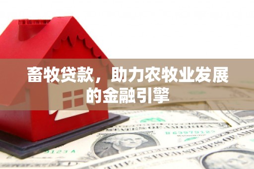 新县畜牧贷款，助力农牧业发展的金融引擎