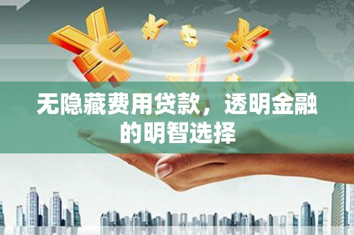 新县无隐藏费用贷款，透明金融的明智选择