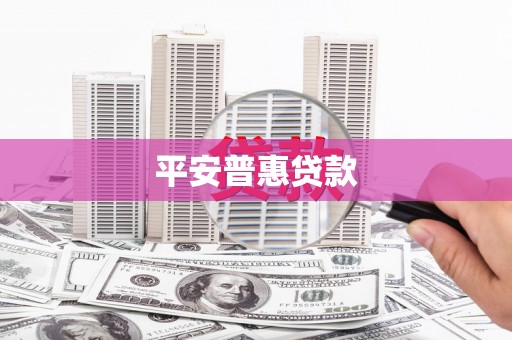 新县平安普惠贷款