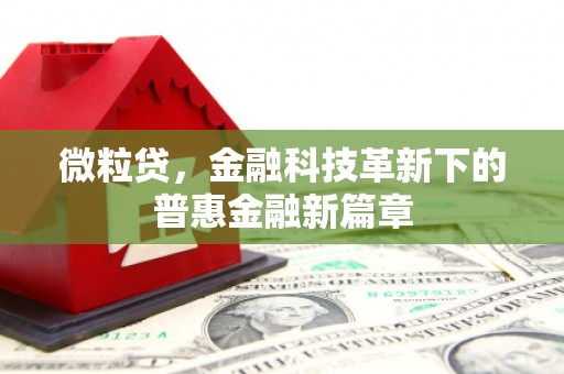 新县微粒贷，金融科技革新下的普惠金融新篇章