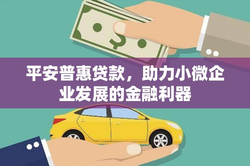新县平安普惠贷款，助力小微企业发展的金融利器