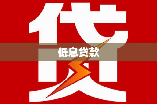 新县低息贷款
